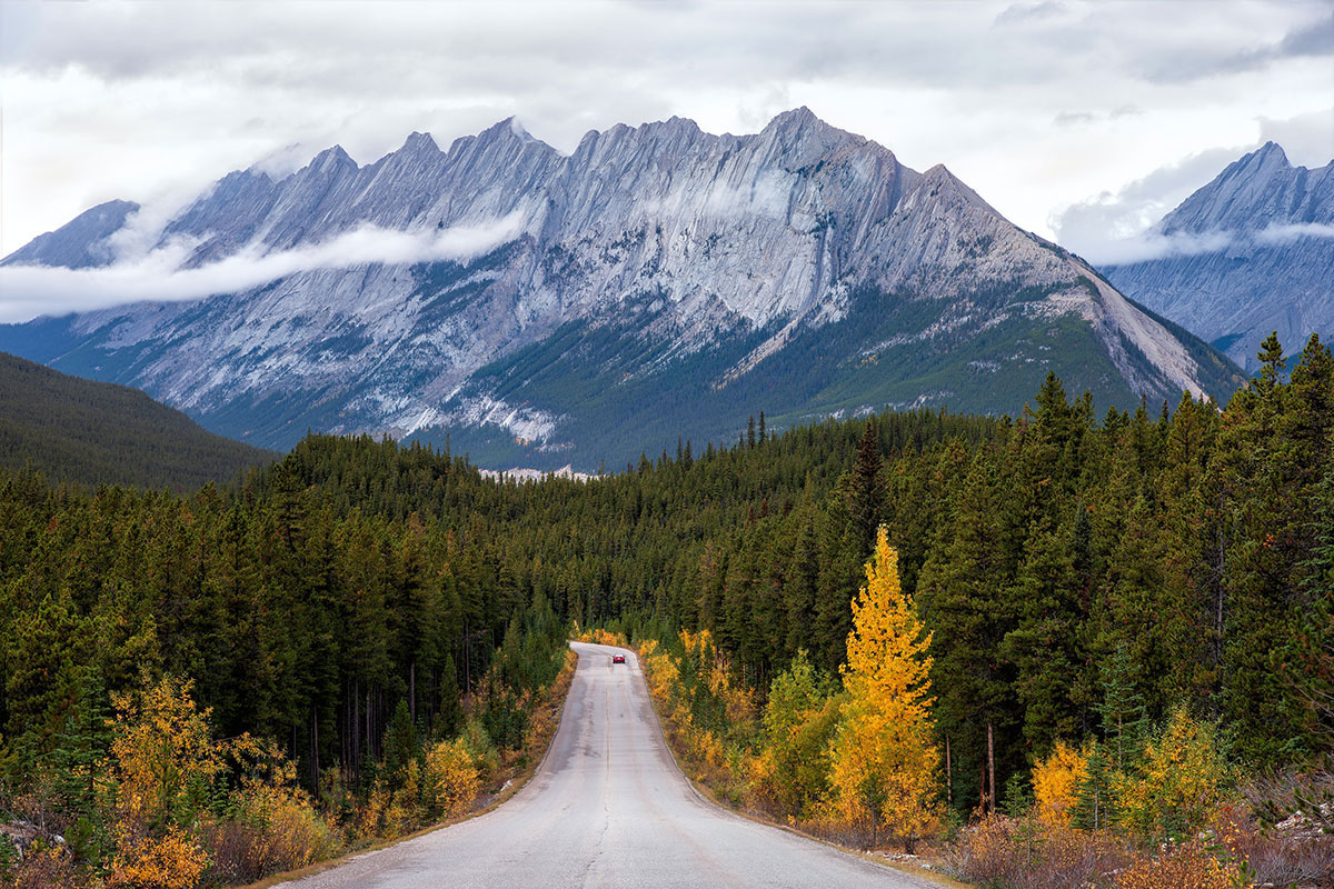 A Car Drives Down a Forested Road Toward Mountain Peaks in Glacier National Park