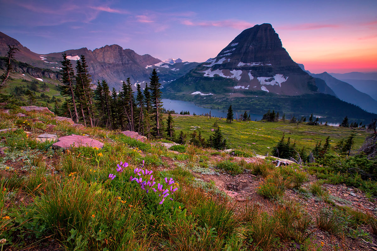 Wildflowers and Sunset Mountain View from Hidden Lake Overlook Trail in Glacier National Park, Montana