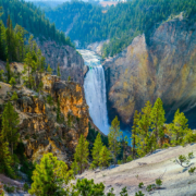 Yellowstone Falls drops majestically into the valley below